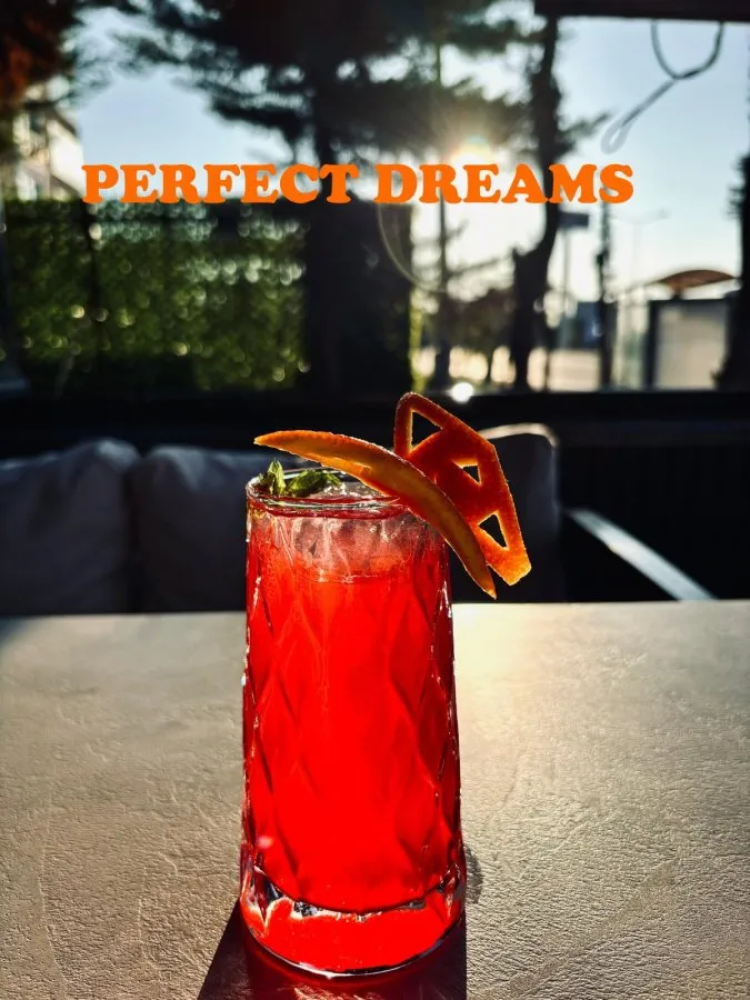 PERFECT DREAMS